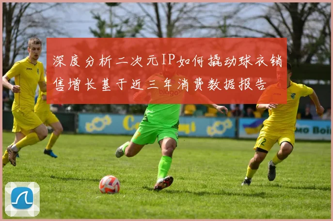 深度分析二次元IP如何撬动球衣销售增长基于近三年消费数据报告